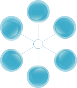 holistic-display-icon