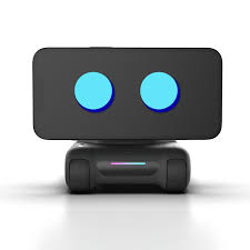 LOOI Robot giveaway prize